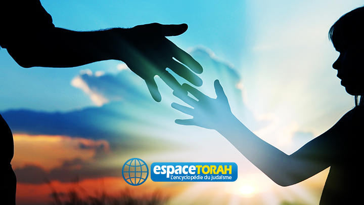 hands of parent and child silhouette on nature