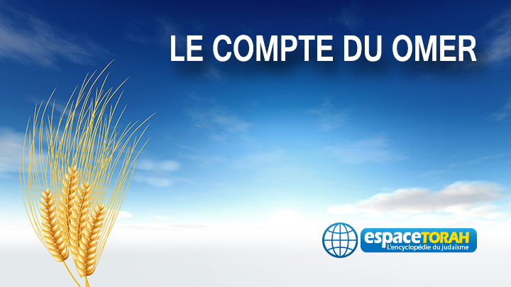 Bundle of Wheat isolated on sky background