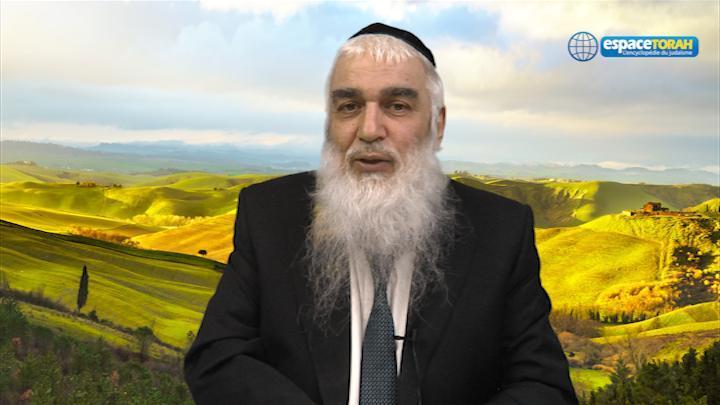 rav mrejen