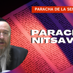 paracha nitsavim