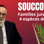 souccot