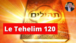 tehelim 120
