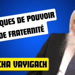 rav mrejen vayigach