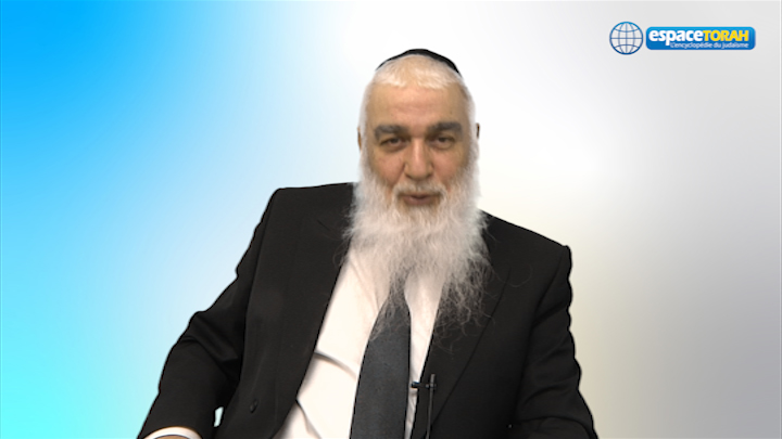 rav mrejen